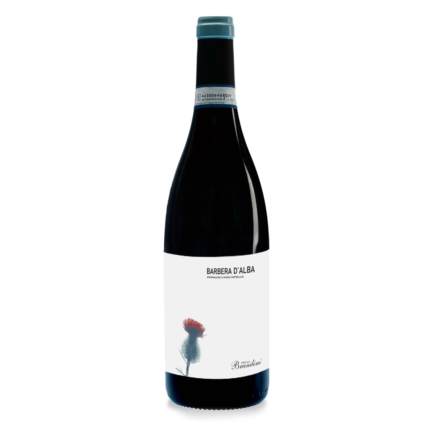 Barbera d’Alba DOC 0,75l Brandini Eataly Today Milano