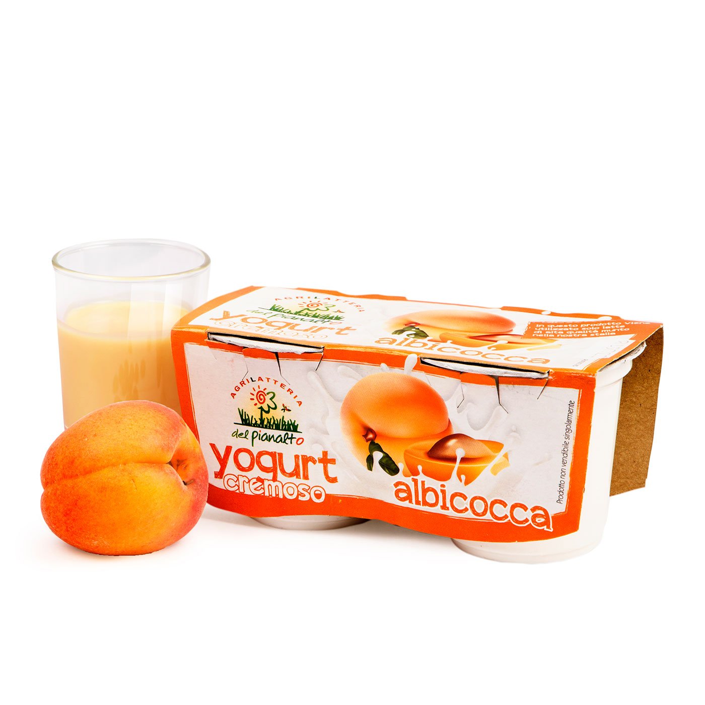 Yogurt all’Albicocca 2x125g Agrilatteria del Pianalto Eataly Today Torino
